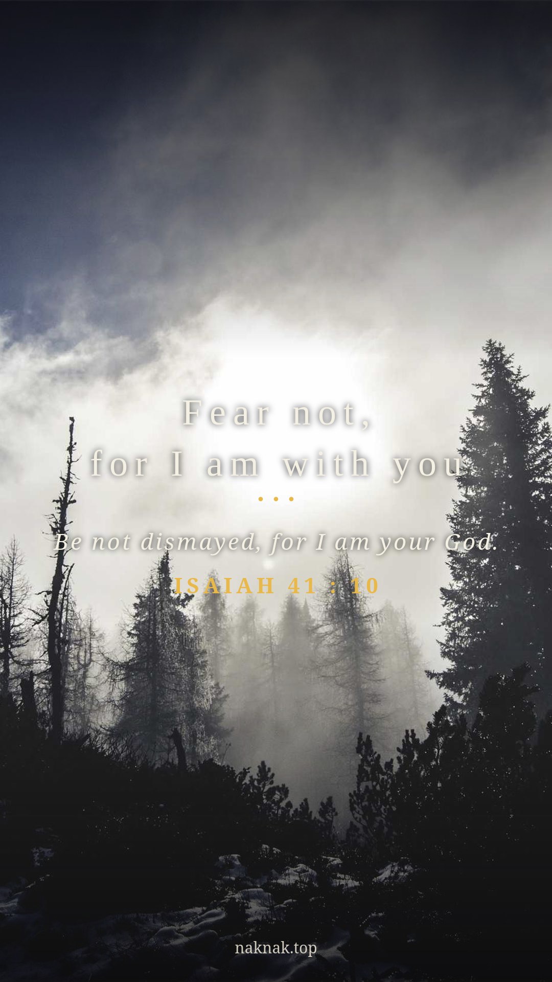 Fear Not HD Wallpaper — Forest