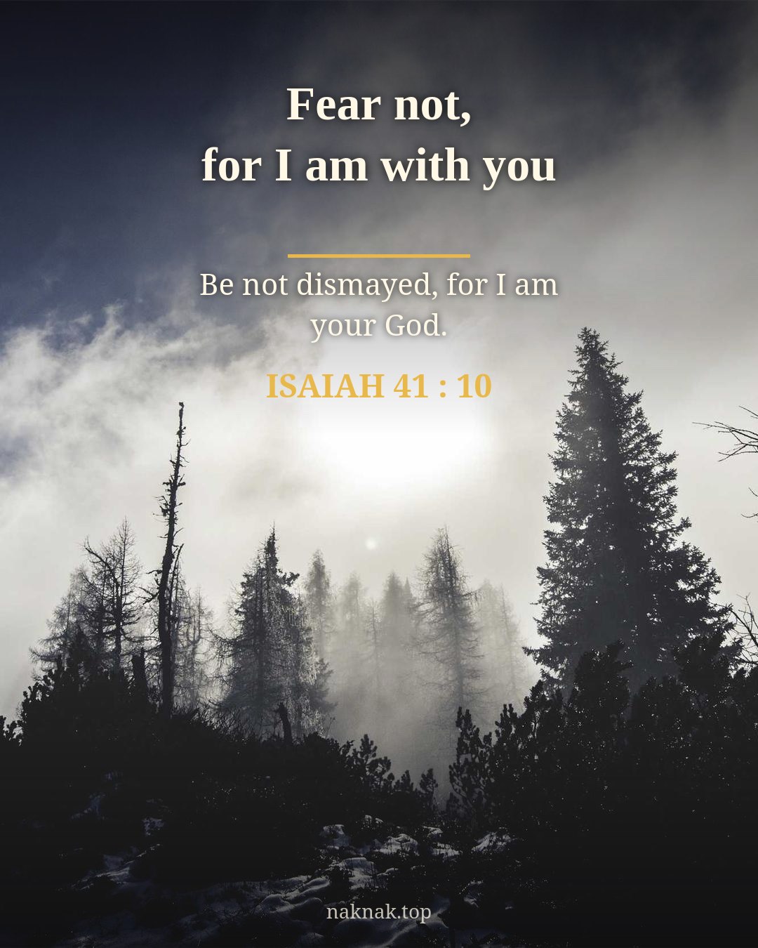 Fear Not — Misty Forest Bible Verse Poster