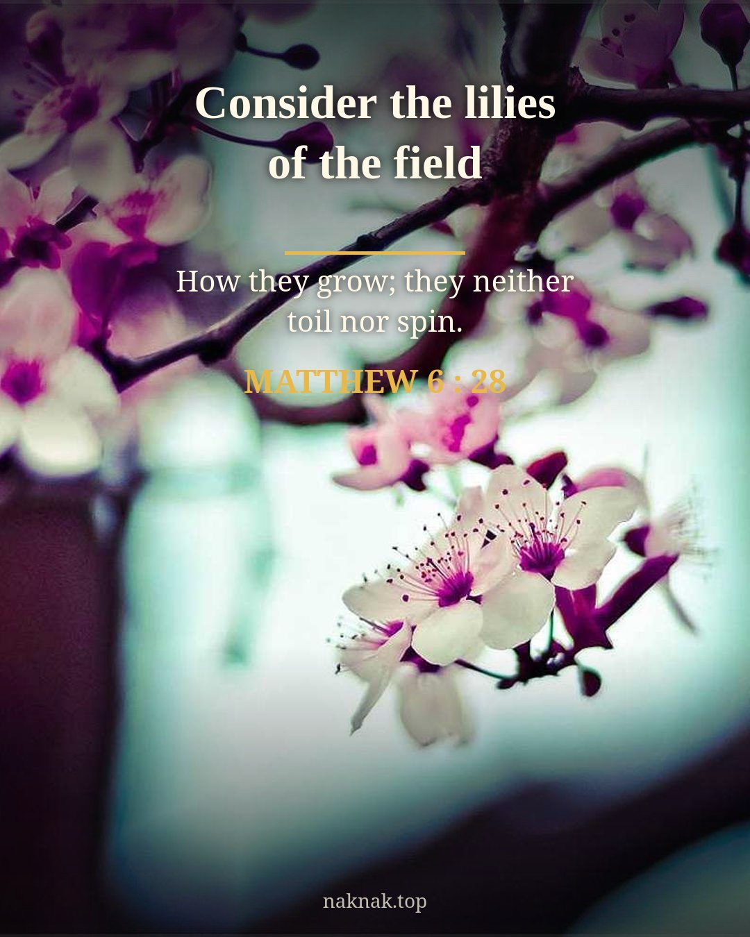 Lilies of the Field — Flower Bible Verse Poster